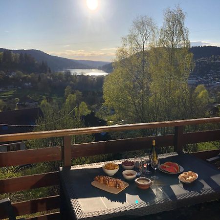 F3 Superbe Vue Lac, Grand Balcon, Ambiance Nature Жерарме Экстерьер фото